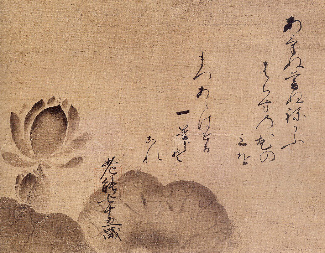 noami lotus